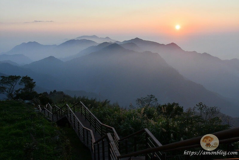 嘉義一日遊|嘉義阿里山景點懶人包,落羽松秘境、親子同樂牧場、阿里山無菜單料理就看這篇