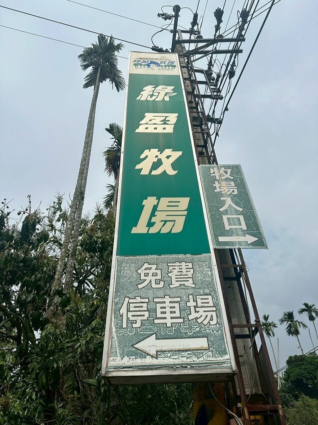 嘉義親子景點推薦!綠盈牧場X養牛人家餵小牛體驗、早午餐一次滿足。