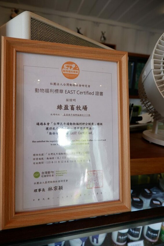 嘉義親子景點推薦!綠盈牧場X養牛人家餵小牛體驗、早午餐一次滿足。