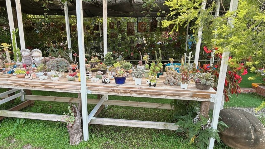 嘉義親子景點推薦!綠盈牧場X養牛人家餵小牛體驗、早午餐一次滿足。