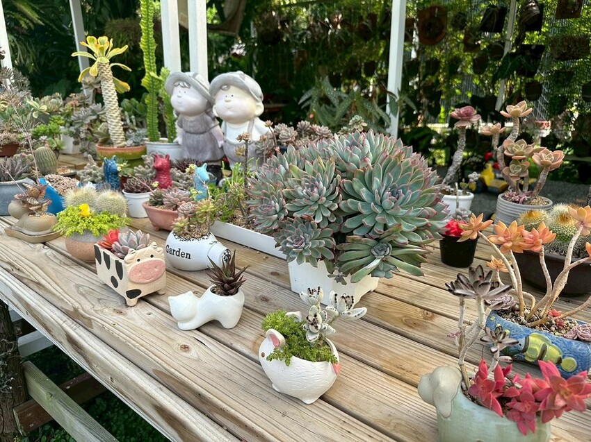 嘉義親子景點推薦!綠盈牧場X養牛人家餵小牛體驗、早午餐一次滿足。