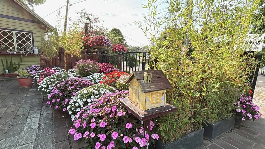 嘉義親子景點推薦!綠盈牧場X養牛人家餵小牛體驗、早午餐一次滿足。