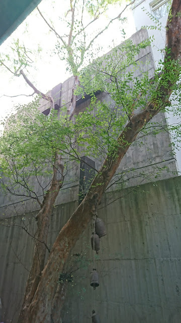 台中大里。菩薩寺。尋找心靈的沉靜