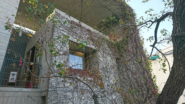 台中大里。菩薩寺。尋找心靈的沉靜