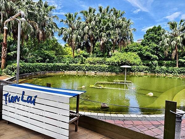 陽明山天籟渡假酒店｜半露天獨立溫泉浴池｜親子滑水道，全家放空首選天堂 (15).jpg