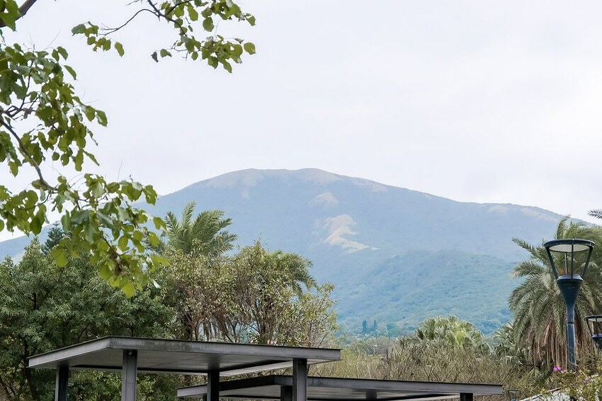 SelfieCity_20210124173924_org