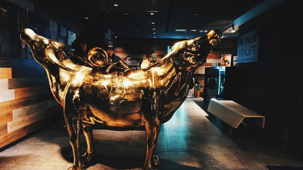 好客音樂燒烤(市府店)：好客音樂燒烤│吃到飽 台北燒肉 駐唱餐廳 帝王蟹 │信義區市府站1號出口