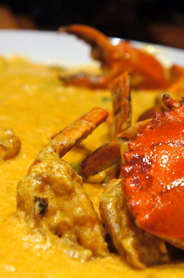 DSC06519_副本_副本 DSC06519_副本_副本