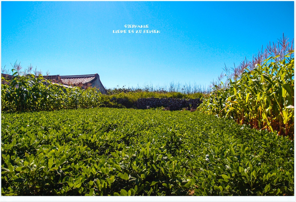 P6018908.jpg P6018908.jpg