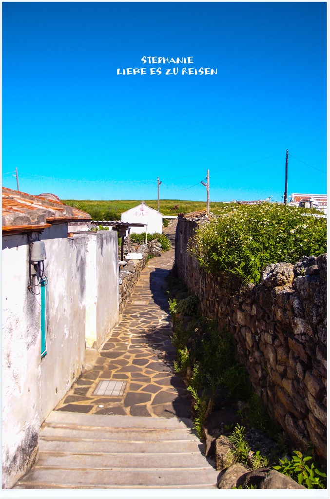 P6018896.jpg P6018896.jpg