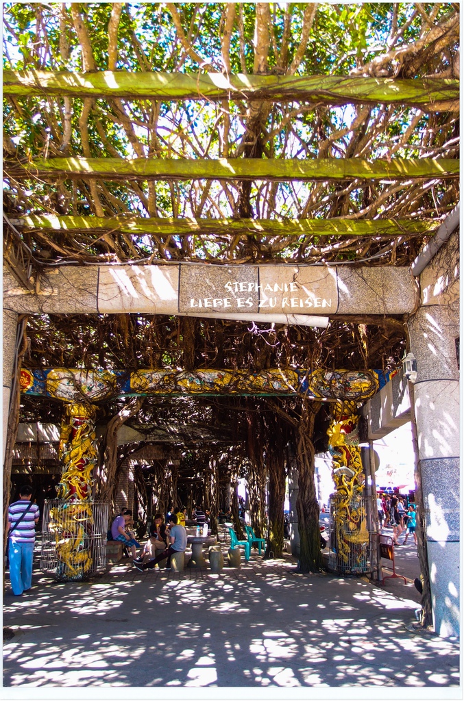 P6018836.jpg P6018836.jpg