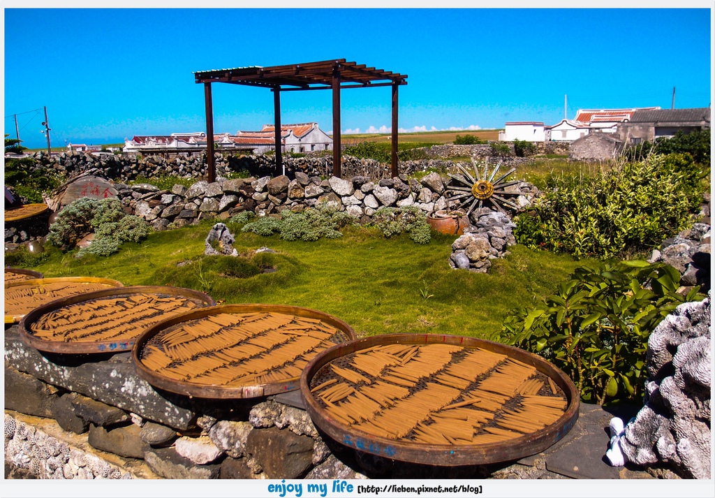 P6018864.jpg P6018864.jpg