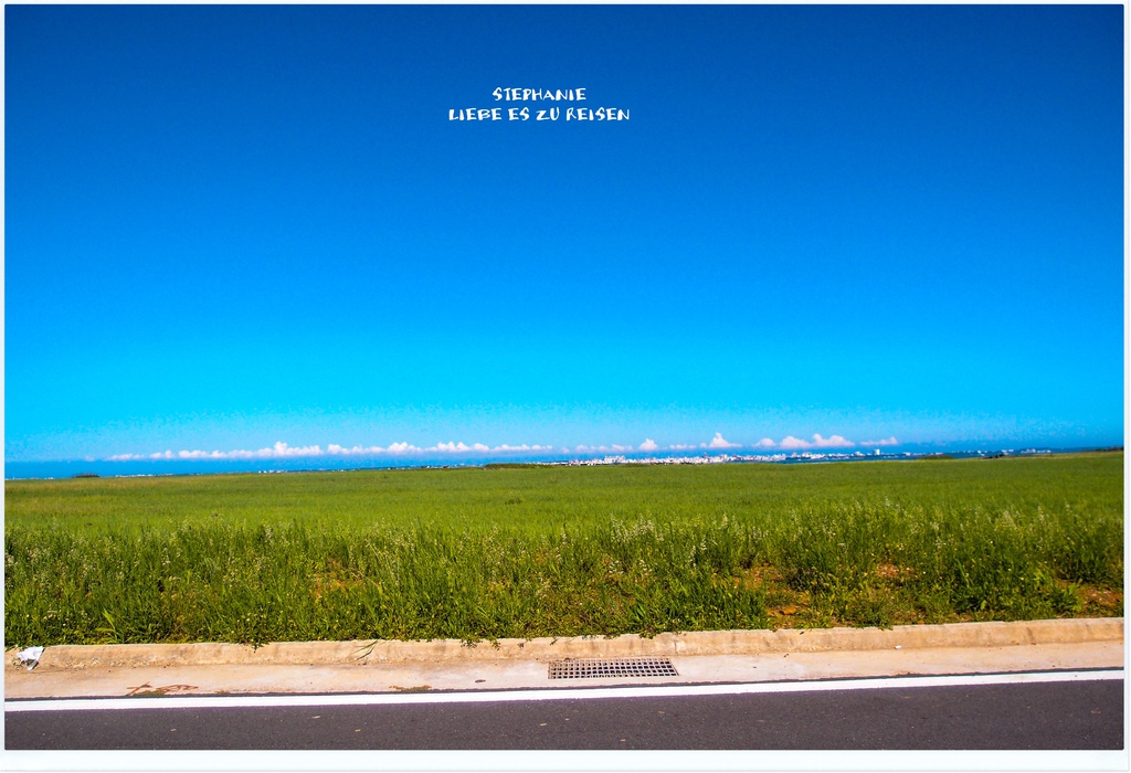 P6018909.jpg P6018909.jpg