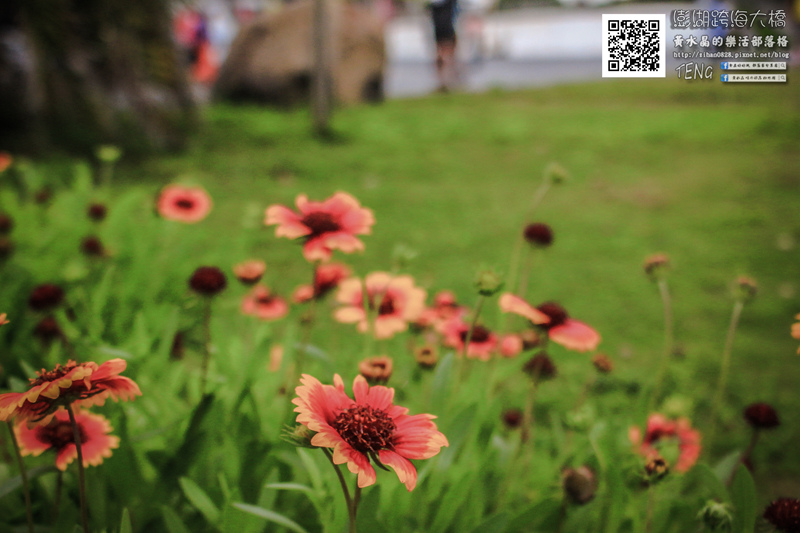 澎湖跨海大橋【澎湖景點】|澎湖縣白沙鄉必遊地標景點;書堯在地人領路,看見澎湖之美。
