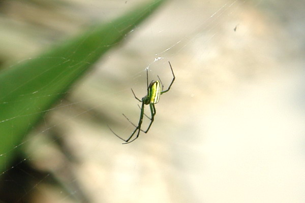 食養山房--台北的山中傳奇