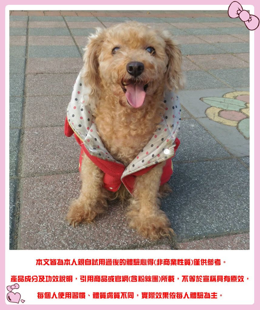 1485942992-656422468_l