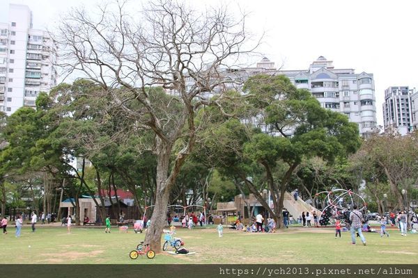 (32)林口運動公園.JPG