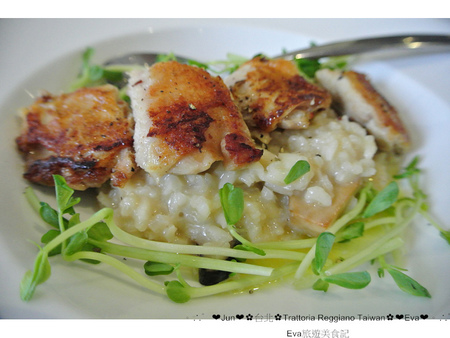 Trattoria Reggiano：【食記】oO。。台北　東區　Trattoria Reggiano Taiwan食品餐廳　大花園　威尼斯花園　小磨菇　小蜜蜂　小飄蟲　提拉米蘇盆栽　超可愛的盆栽花園蛋糕組合，跟著蜜蜂飛舞吧～o○。