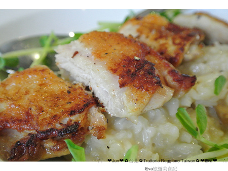 Trattoria Reggiano：【食記】oO。。台北　東區　Trattoria Reggiano Taiwan食品餐廳　大花園　威尼斯花園　小磨菇　小蜜蜂　小飄蟲　提拉米蘇盆栽　超可愛的盆栽花園蛋糕組合，跟著蜜蜂飛舞吧～o○。