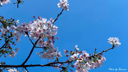 0325 東方寺12.jpg