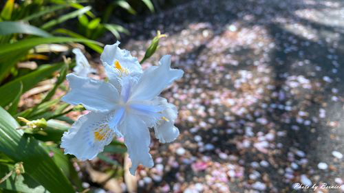 0325 東方寺03.jpg