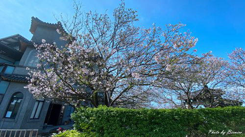 0325 東方寺10.jpg