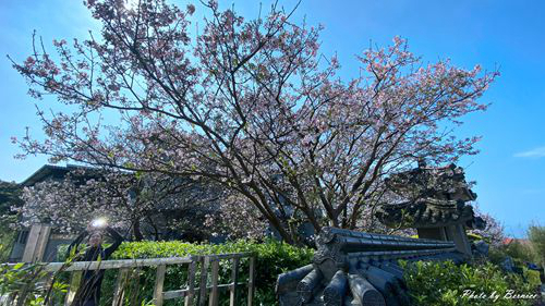 0325 東方寺08.jpg