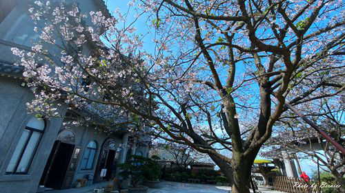 0325 東方寺09.jpg