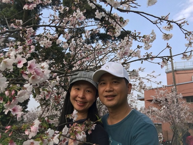 IMG_7748.JPG - 2018陽明山櫻花季