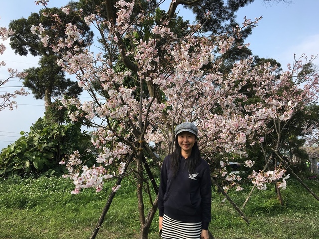 IMG_7756.JPG - 2018陽明山櫻花季