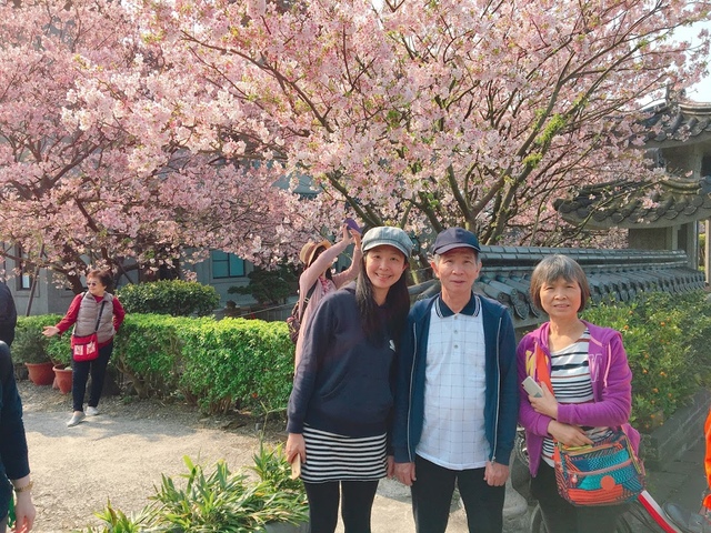 IMG_7823.JPG - 2018陽明山櫻花季