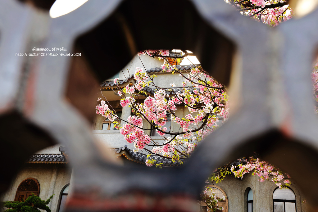 【遊║台北陽明山】東方寺～「櫻」姿煥發！吉野櫻、紫藤花盛開中，把握最後賞櫻時機！（105.4.7花況）　