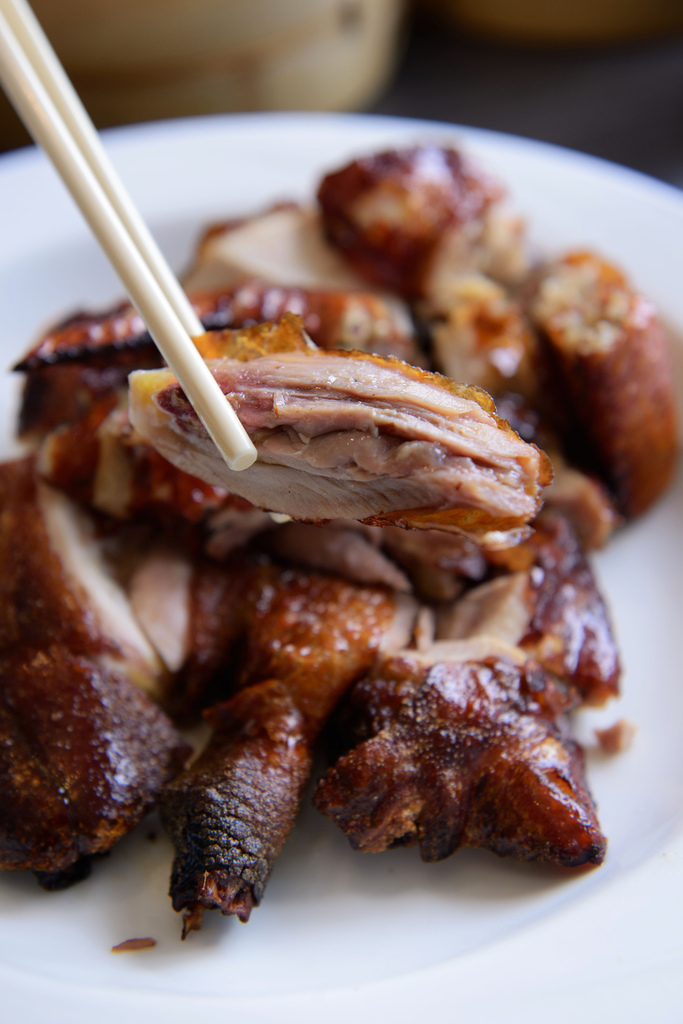 DSC_9162.jpg DSC_9162.jpg