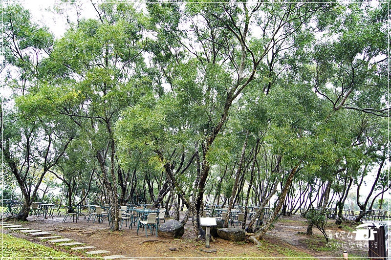 宜蘭頭城 伯朗城堡咖啡館