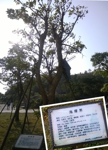 伯朗咖啡館(頭城城堡咖啡館):Enjoy the food, the scenery and the castle,宜蘭深林中的歐式城堡——Mr.Brown頭城城堡店 伯朗咖啡館(頭城城堡咖啡館):Enjoy the food, the scenery and the castle,宜蘭深林中的歐式城堡——Mr.Brown頭城城堡店