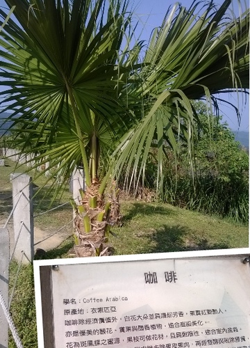 伯朗咖啡館(頭城城堡咖啡館):Enjoy the food, the scenery and the castle,宜蘭深林中的歐式城堡——Mr.Brown頭城城堡店 伯朗咖啡館(頭城城堡咖啡館):Enjoy the food, the scenery and the castle,宜蘭深林中的歐式城堡——Mr.Brown頭城城堡店