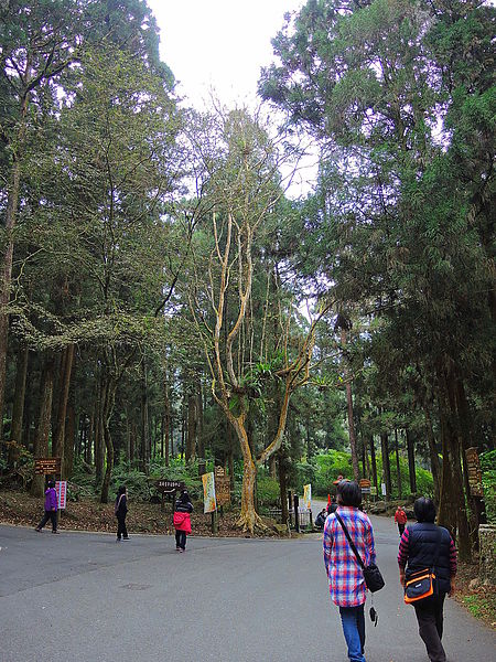 DSCN1442.JPG DSCN1442.JPG