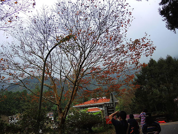 DSCN1426.JPG DSCN1426.JPG