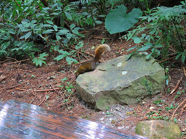 DSCN1450.JPG DSCN1450.JPG