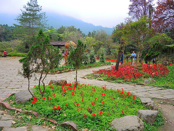 DSCN1457.JPG DSCN1457.JPG