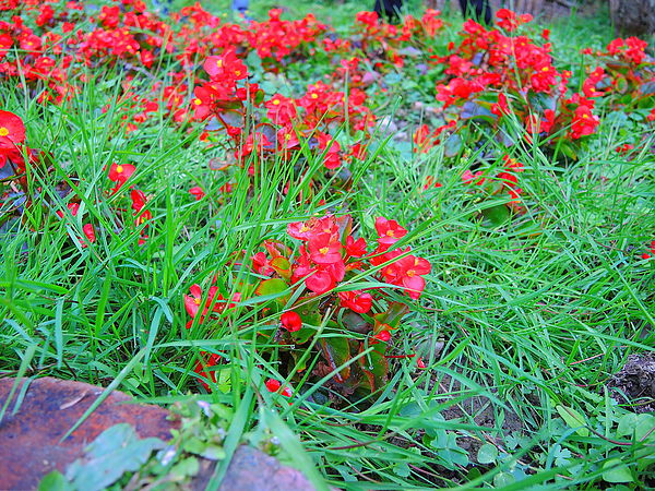 DSCN1462.JPG DSCN1462.JPG