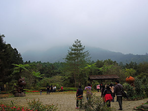 DSCN1456.JPG DSCN1456.JPG