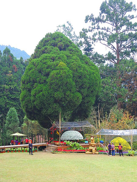 DSCN1432.JPG DSCN1432.JPG