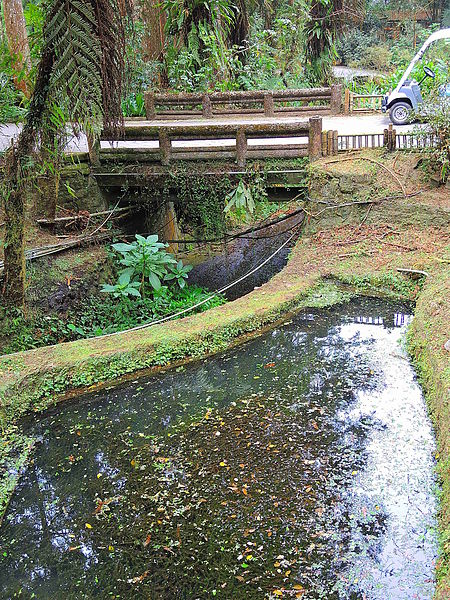 DSCN1436.JPG DSCN1436.JPG