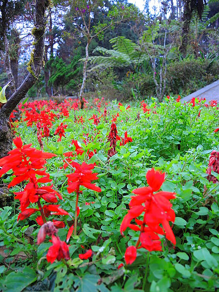 DSCN1461.JPG DSCN1461.JPG