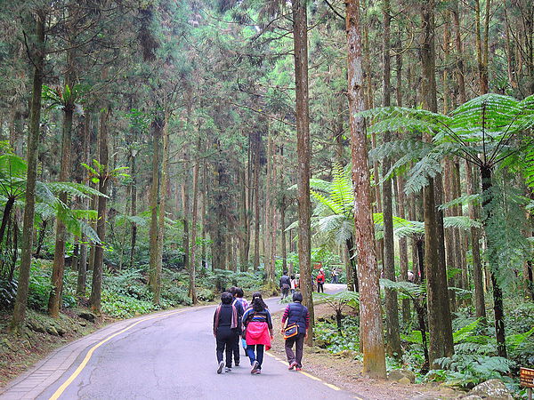 DSCN1445.JPG DSCN1445.JPG