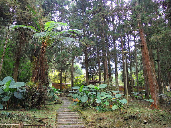 DSCN1441.JPG DSCN1441.JPG