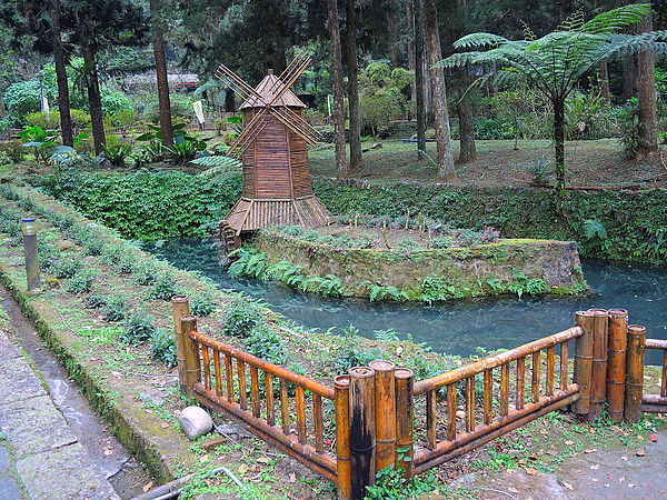 DSCN1433.JPG DSCN1433.JPG