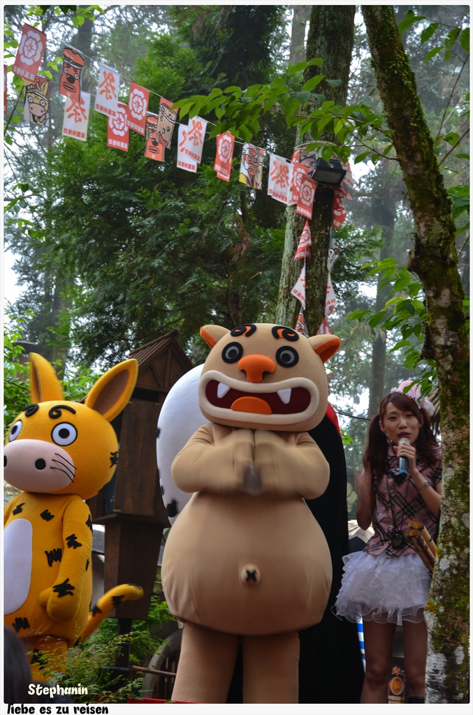 DSC_3705.jpg DSC_3705.jpg