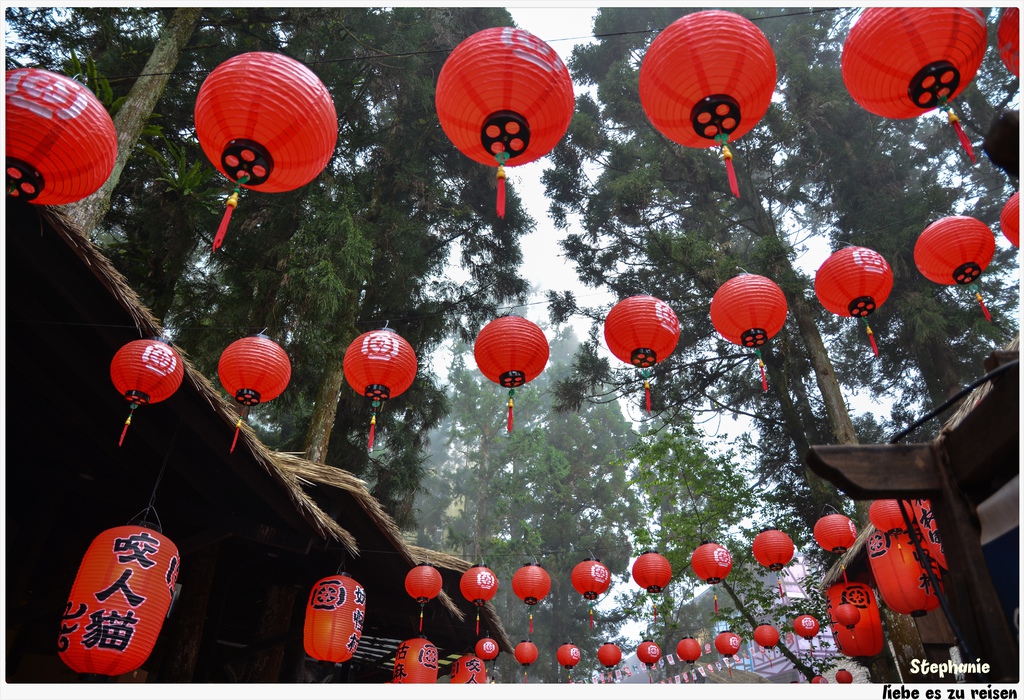 DSC_3685.jpg DSC_3685.jpg